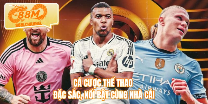 Cá cược thể thao đặc sắc, nổi bật cùng nhà cái